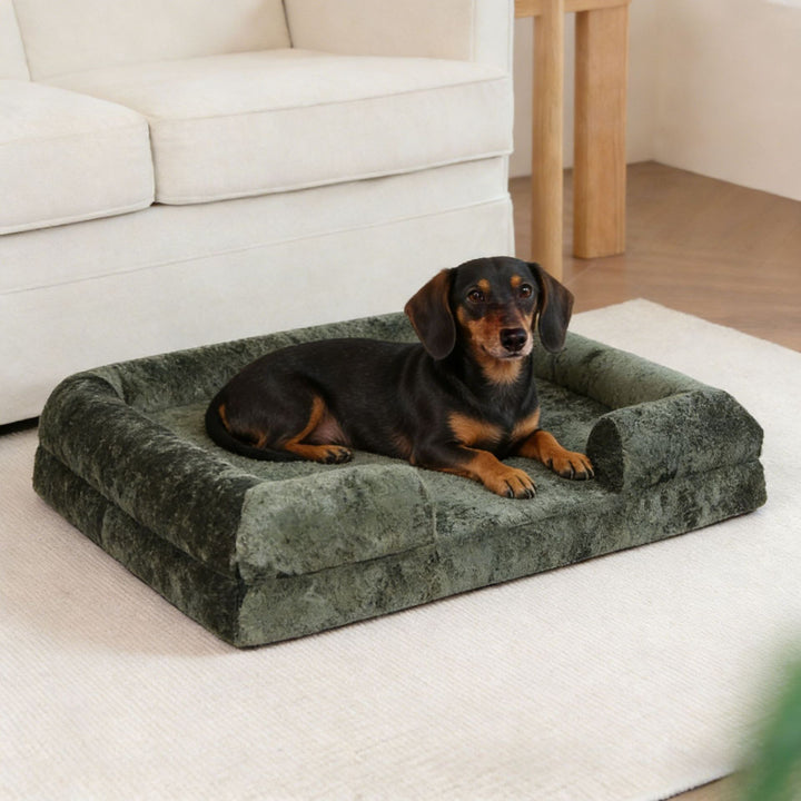 Cozy Orthopedic Support dog Sofa