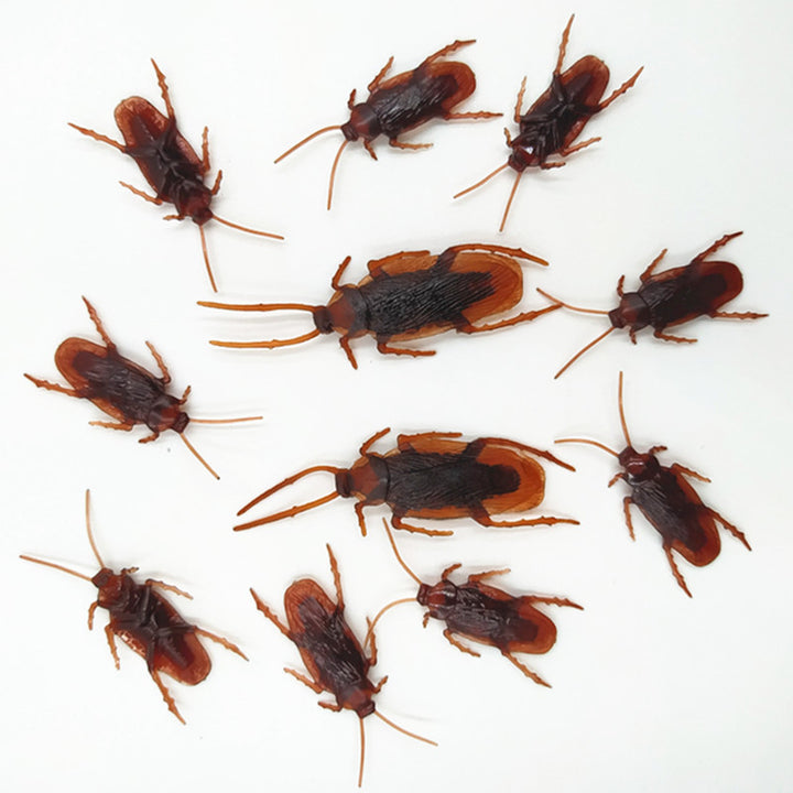 Realistic Insect Stornfield