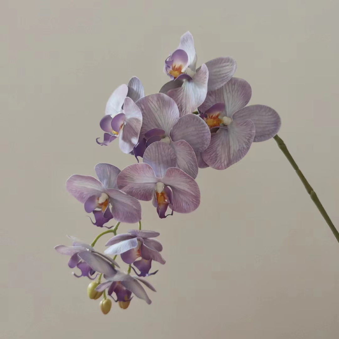 Lifelike Orchid Floral Stem