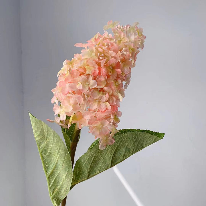 Realistic Hydrangea Stem