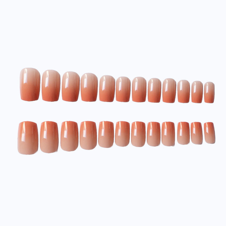 Glossy Natural Finish Nail Art Kit