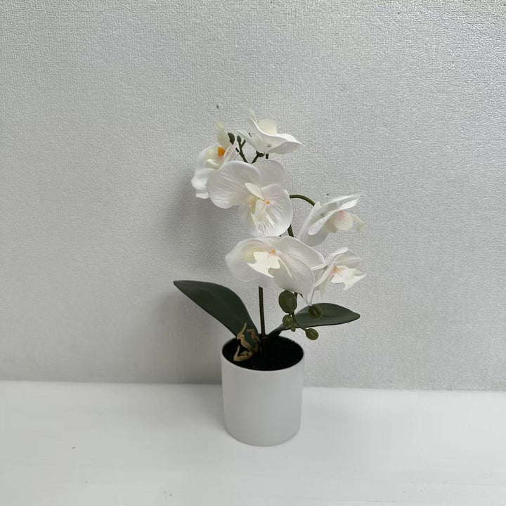 Lifelike Phalaenopsis Orchid Plant Arrangement