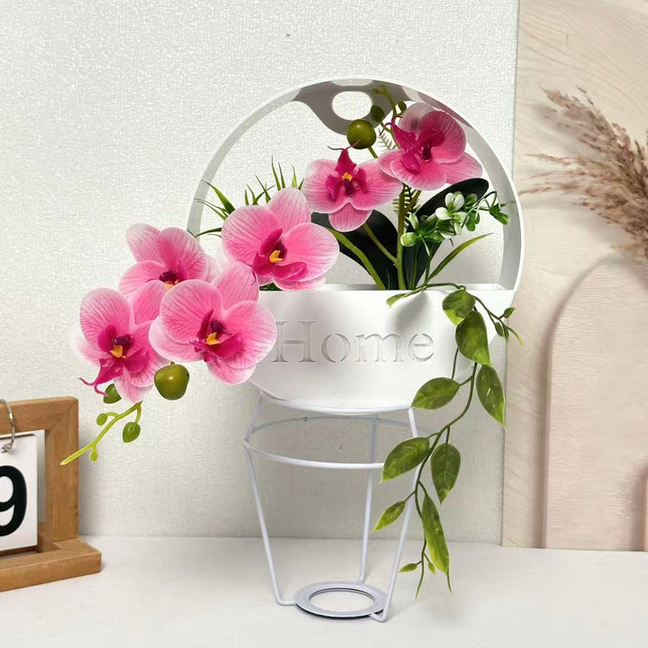 Decorative Indoor Plant Arrangement
