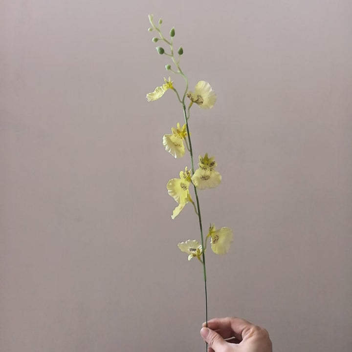 Decorative Orchid Stem