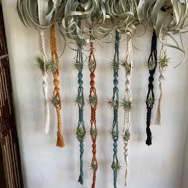 Elegant Macrame Plant Wall Hanging Stornfield