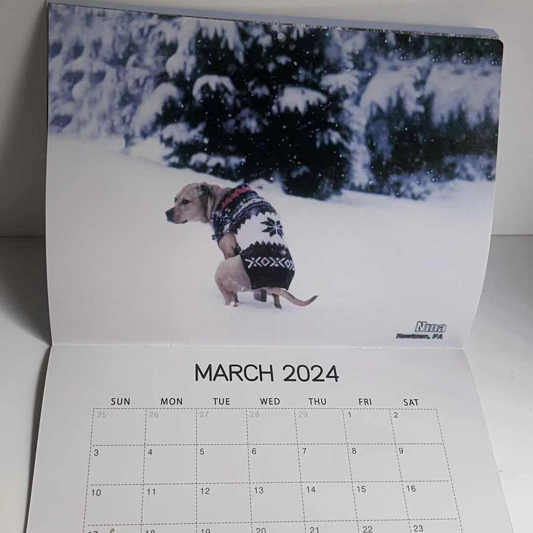 Funniest Calendar-Dogs Pooping in Beautiful Places | "Artistic Expression" of Furry Friends | Stornfield