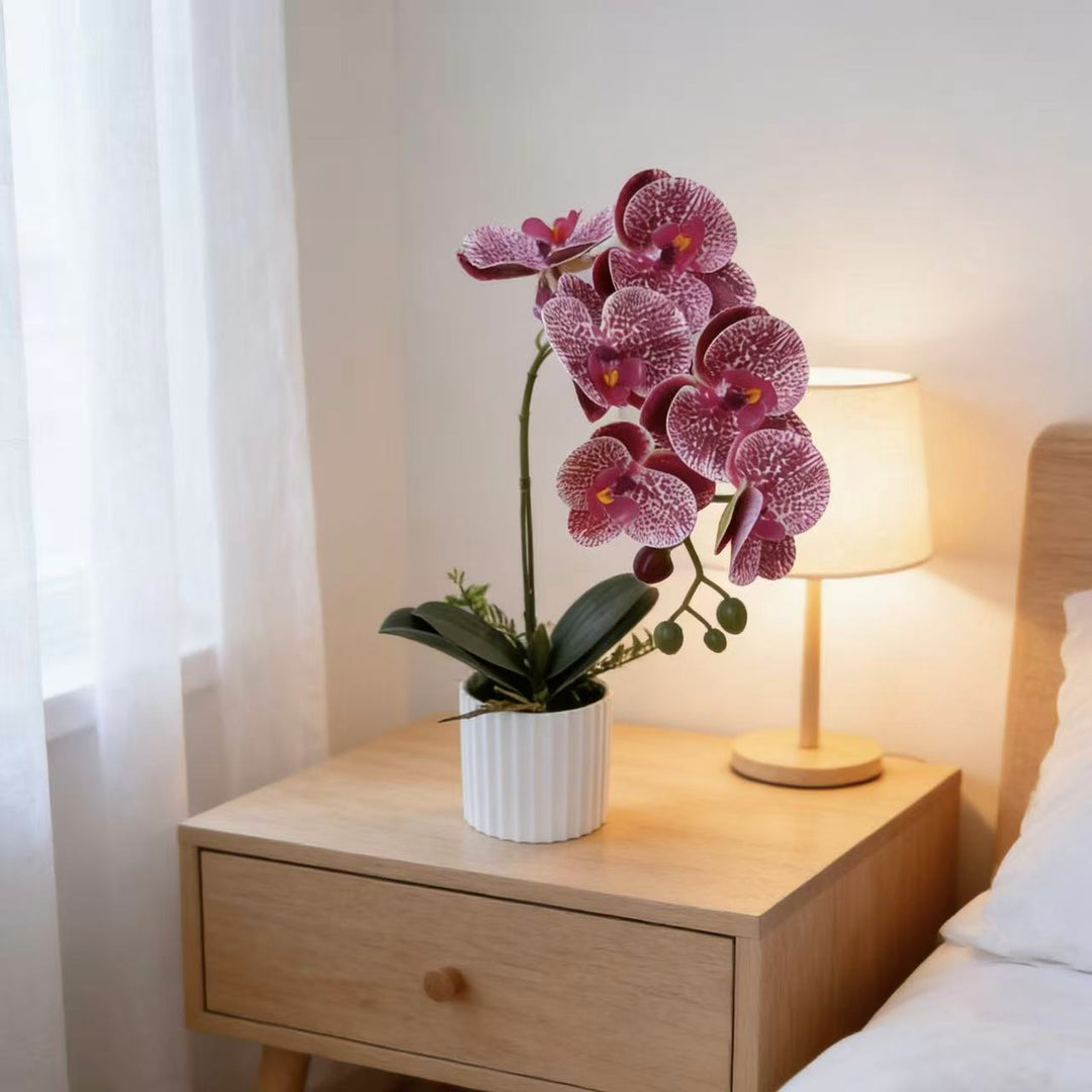 Realistic Faux Orchid Plant Arrangement