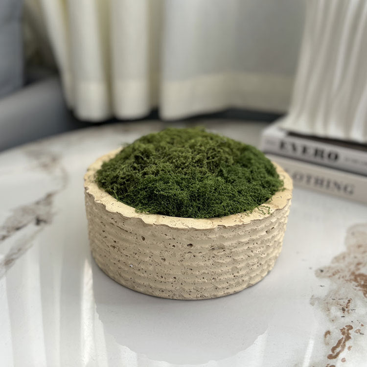 Geometric Decorative Green Plant Tray