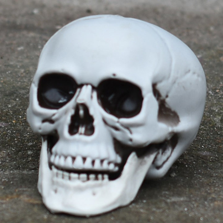 Decorative Skull Phone Stand Stornfield