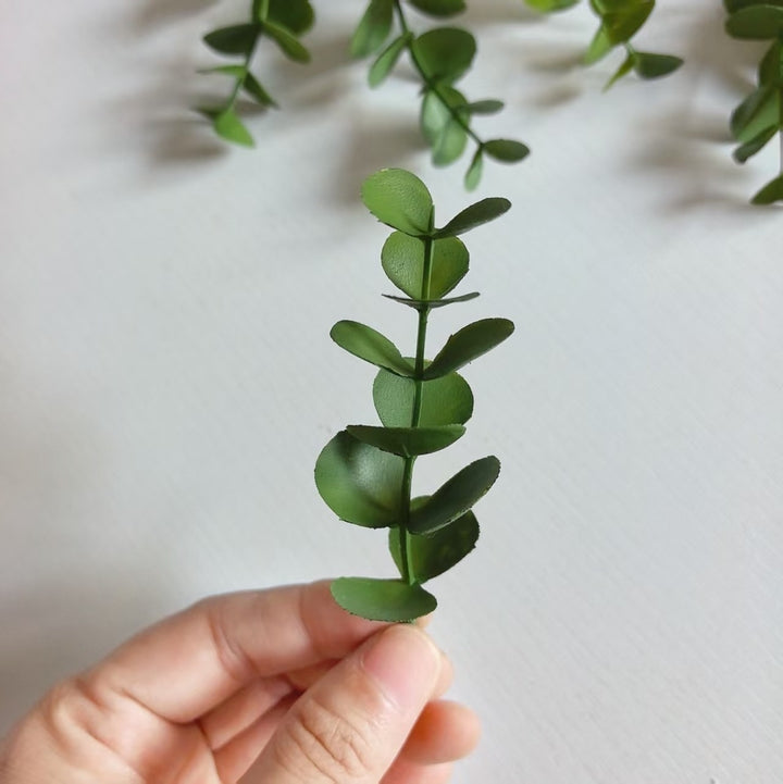 Decorative Eucalyptus