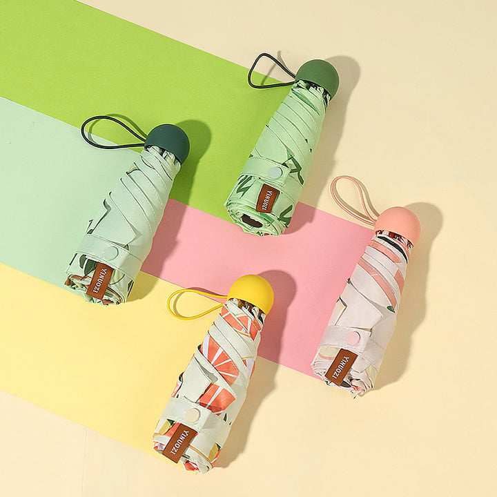 Ladies Insulated Water Bottle with Creative Avocado Packaging Stornfield