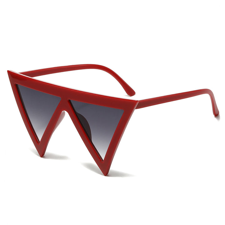 Bold Triangular Frame Sunglasses Stornfield