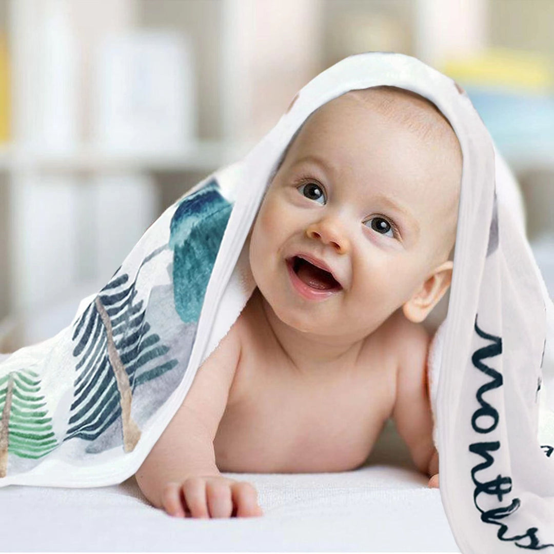 Milestone Baby Blanket