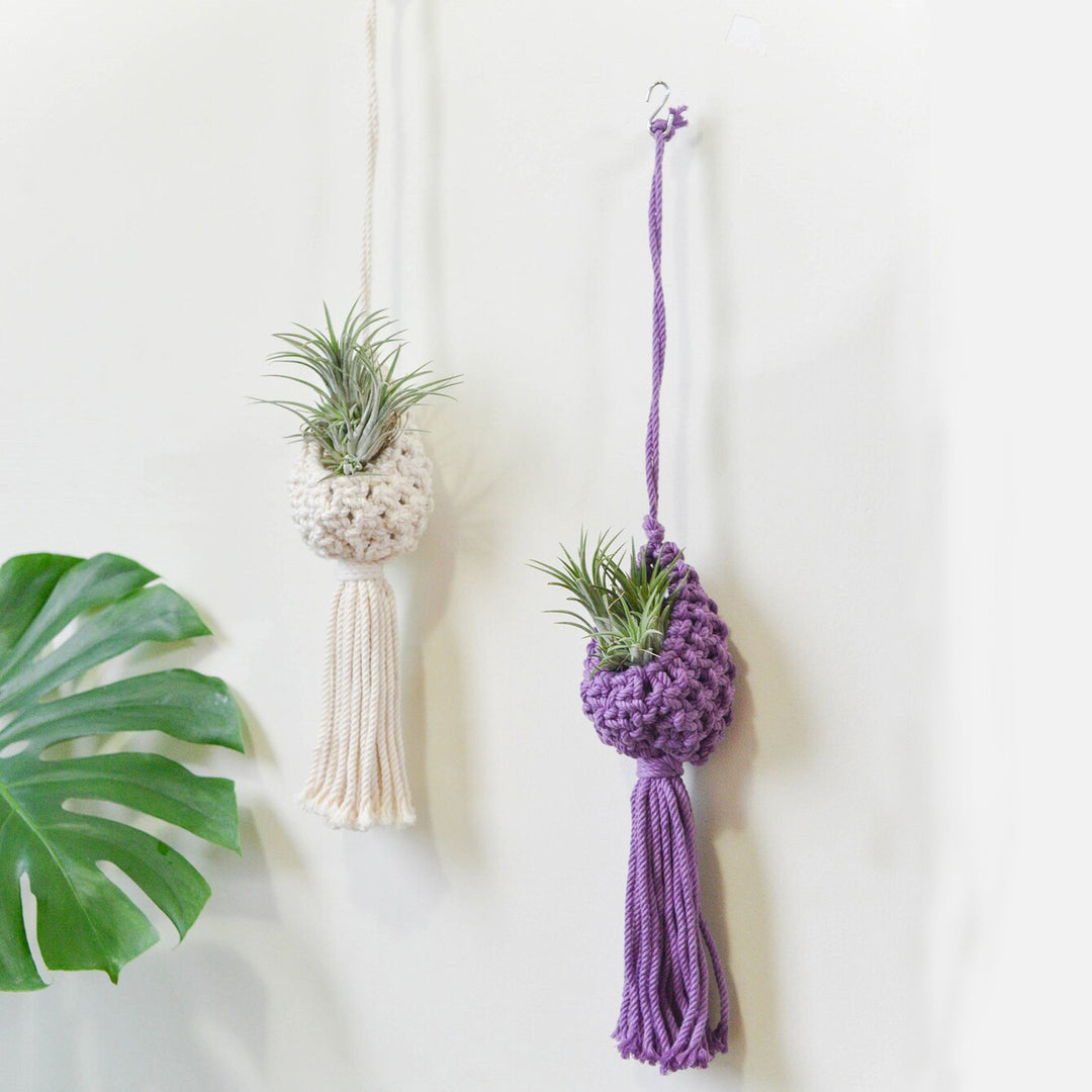 Macrame Hanging Plant Holder with Decorative Tassel Stornfield
