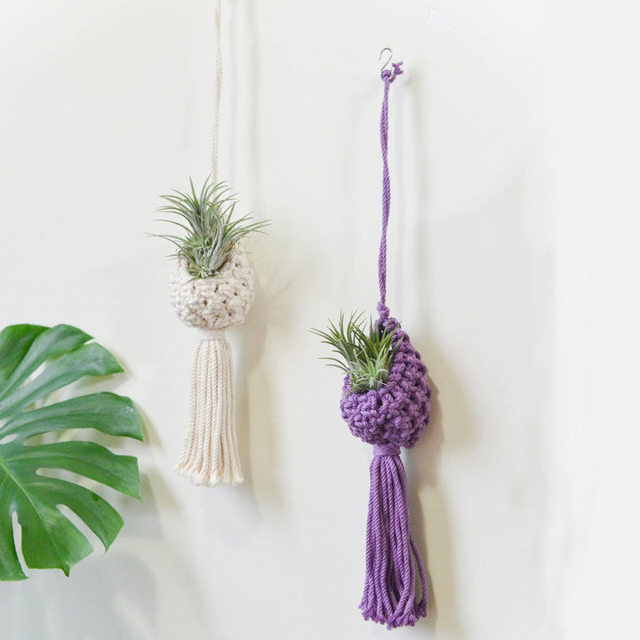 Macrame Hanging Plant Holder with Decorative Tassel Stornfield