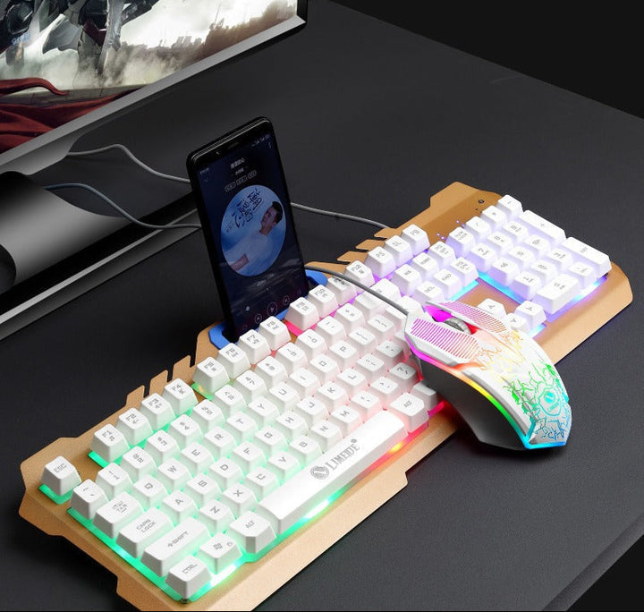 Mechanical Gaming Keyboard and High-Performance RGB Mouse Combo Stornfield