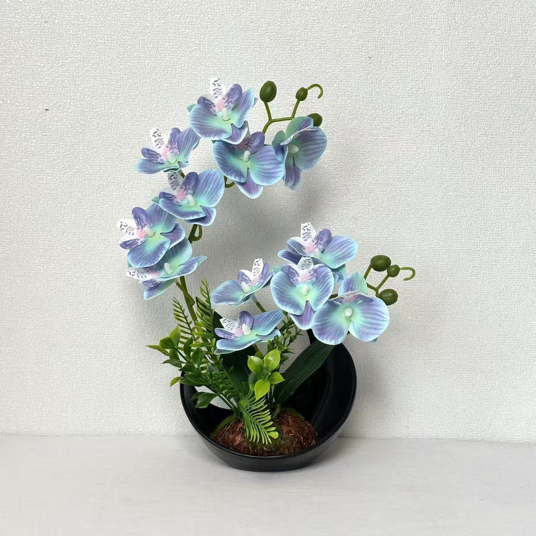 Lifelike Orchid Flower Display