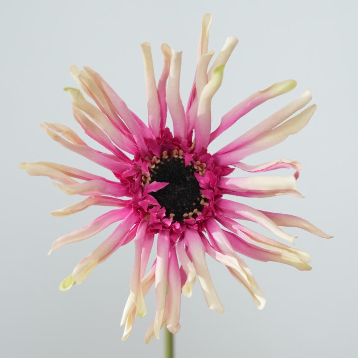 Realistic Sunflower Stem