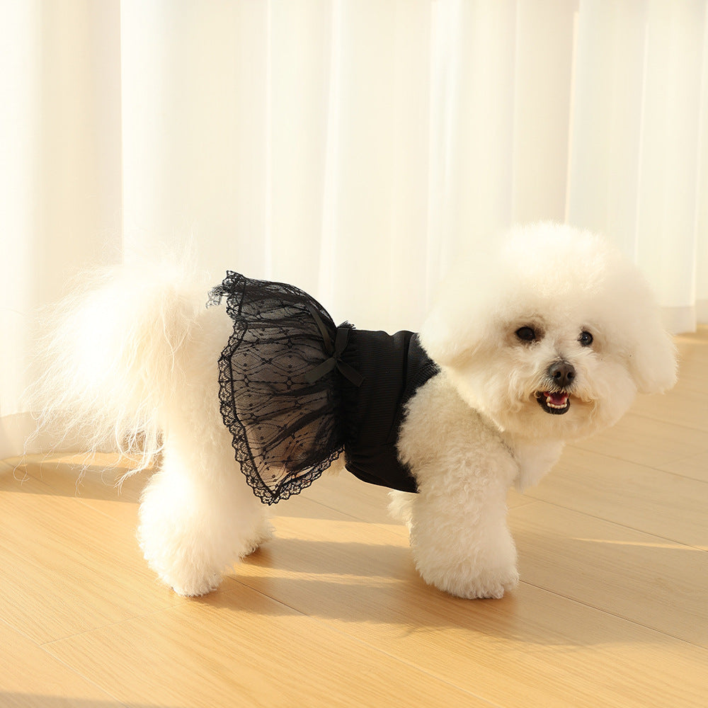 Delicate Lace Tulle Pet Dress with Ribbed Bodice & Decorative