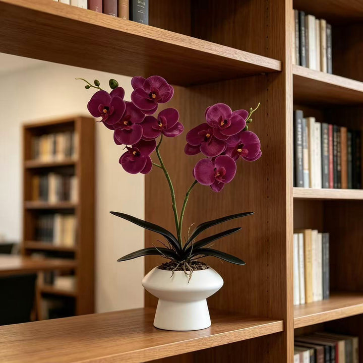 Decorative Orchid Plant Centerpiece