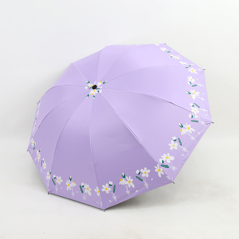 Ladies Umbrella Stornfield
