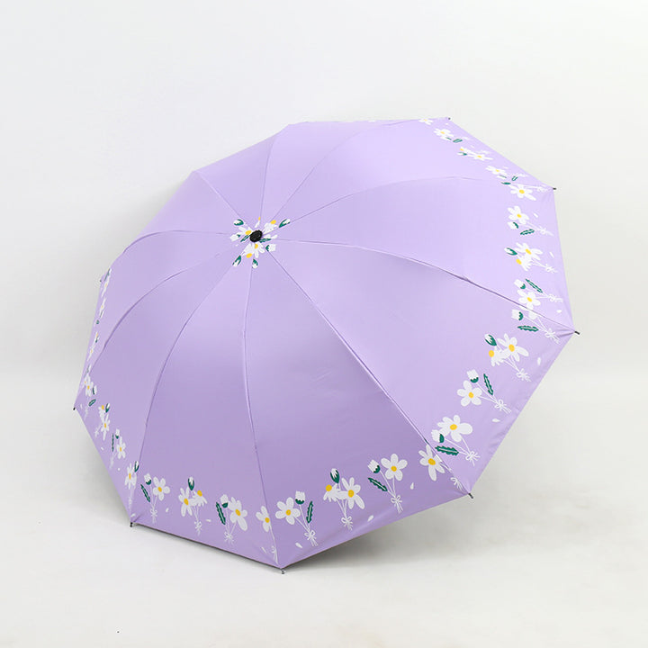 Ladies Umbrella Stornfield