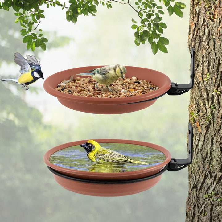 Bird Bath and Feeder Stornfield