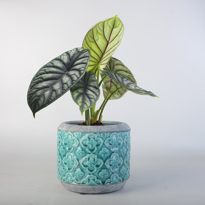 Flower pot Stornfield