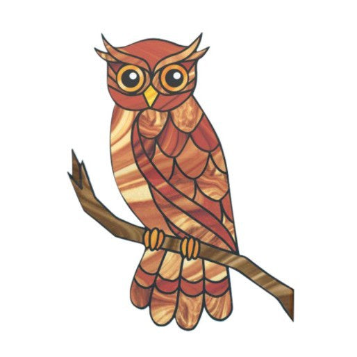 Colorful Owl Decorative Wall Art