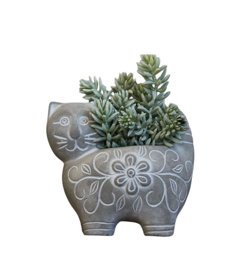 Decorative Plant Stornfield