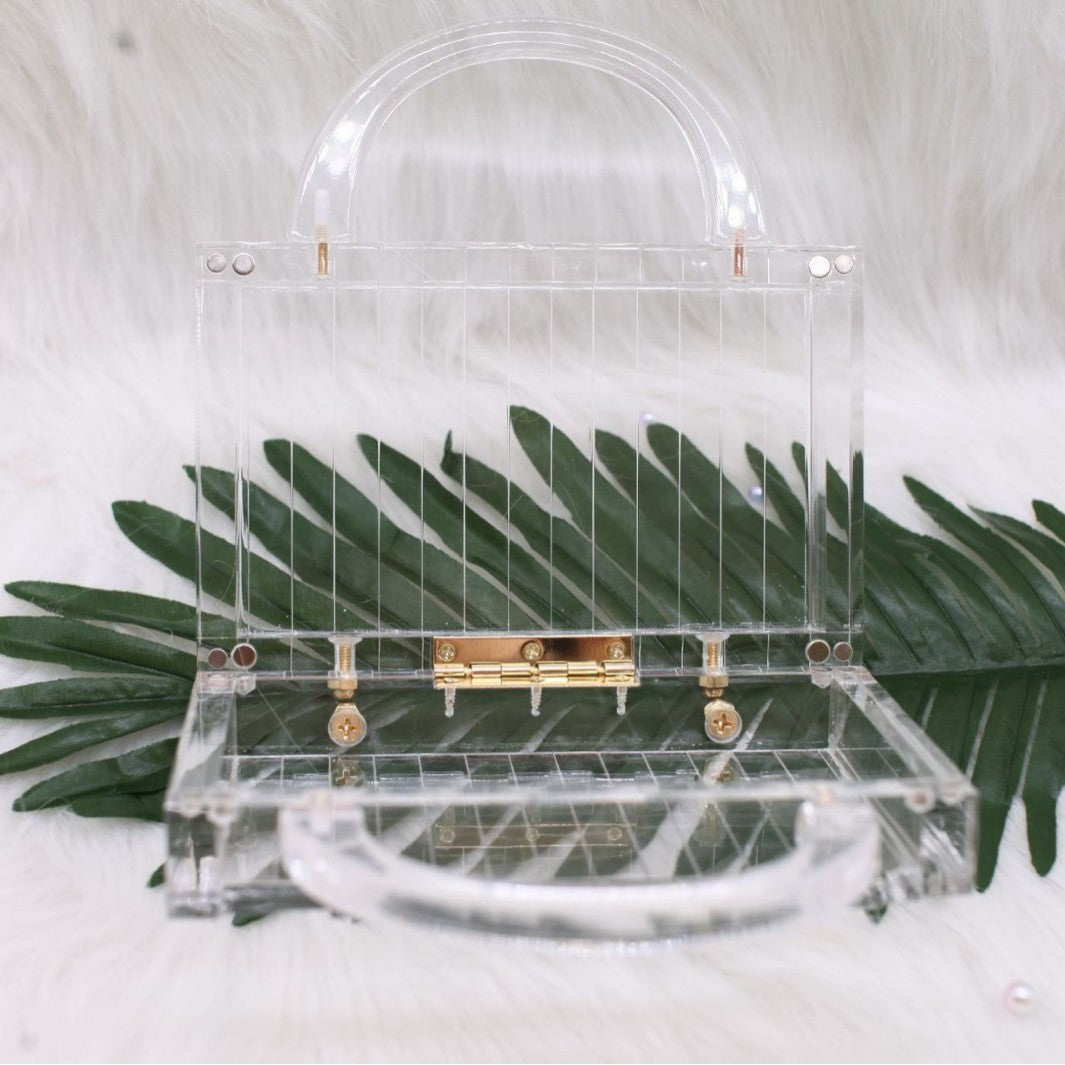 Acrylic Handheld Clutch