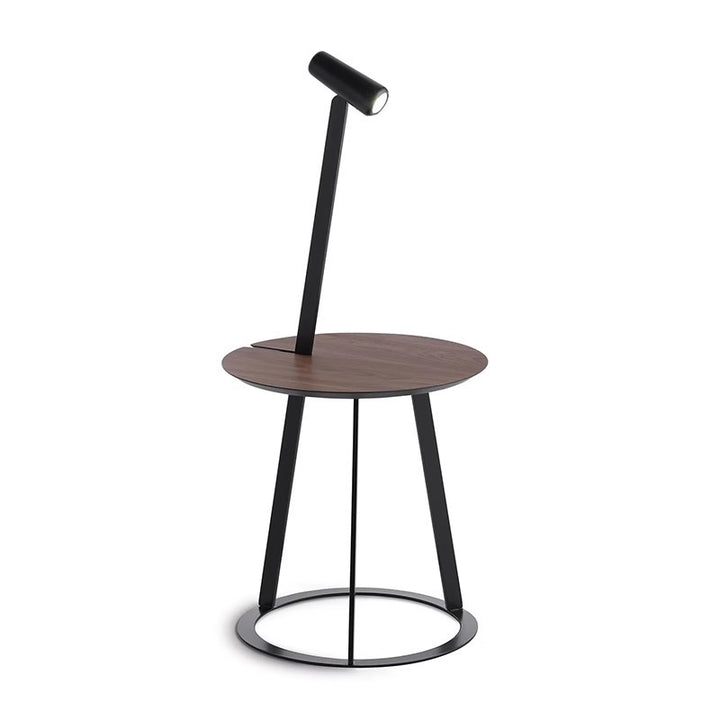 Minimalist Desk Lamp with Adjustable Arm