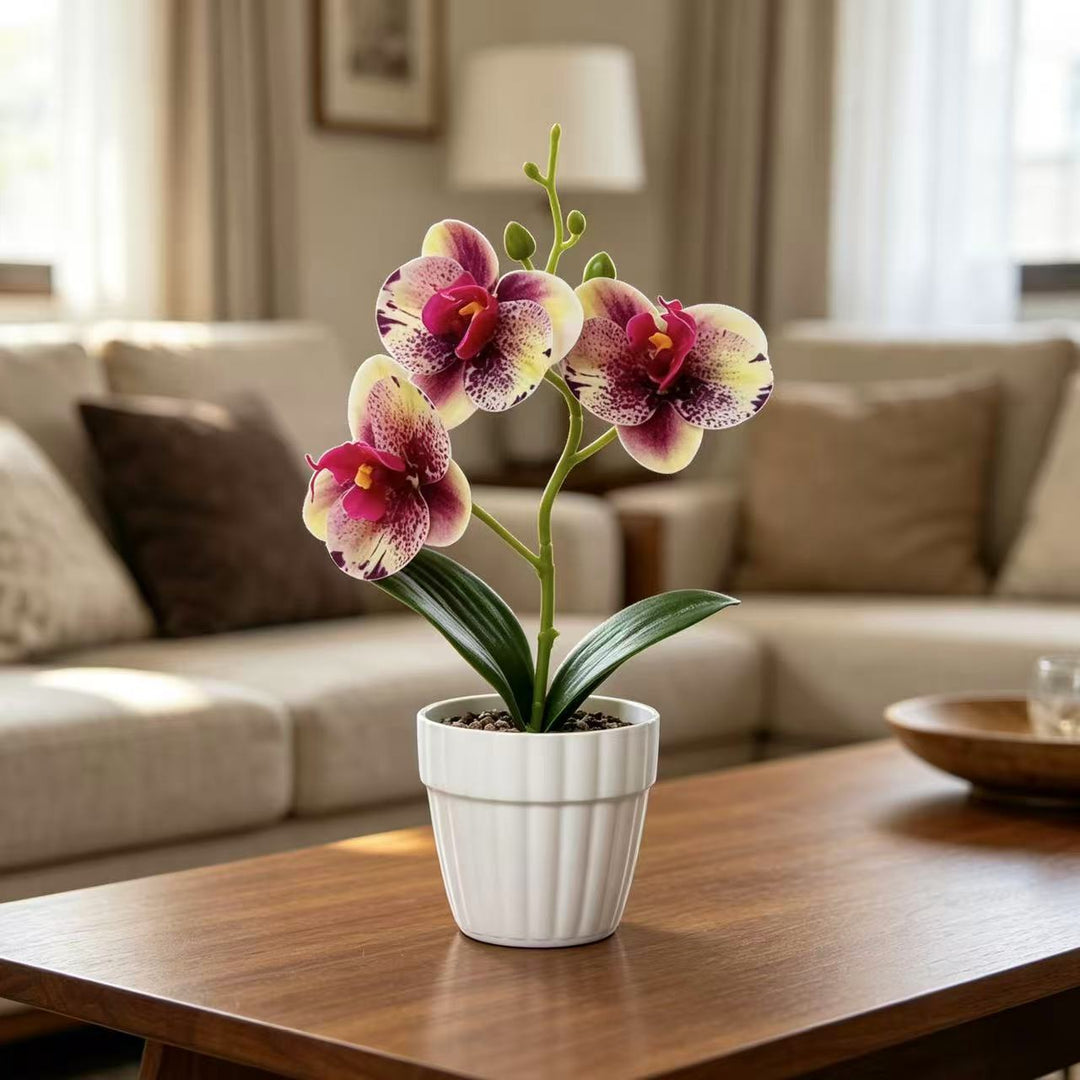 Decorative Artificial Orchid Arrangement for Decorative Home Display