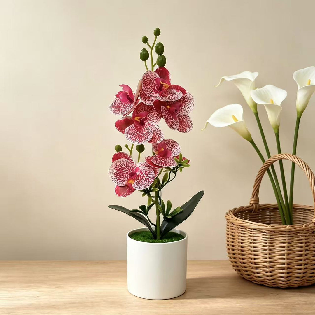 Elegant Orchid Floral Centerpiece