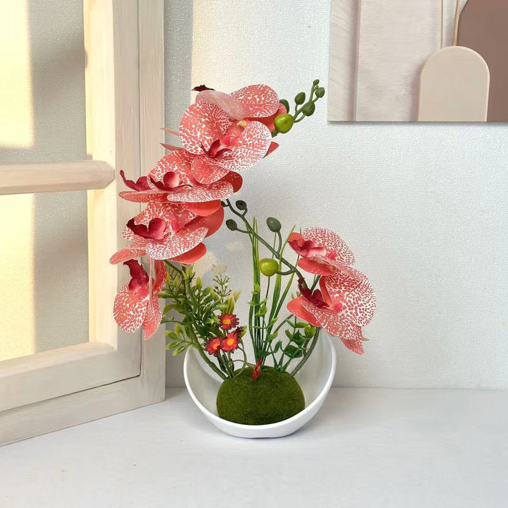 Decorative Orchid Plant Arrangement for Home Decor