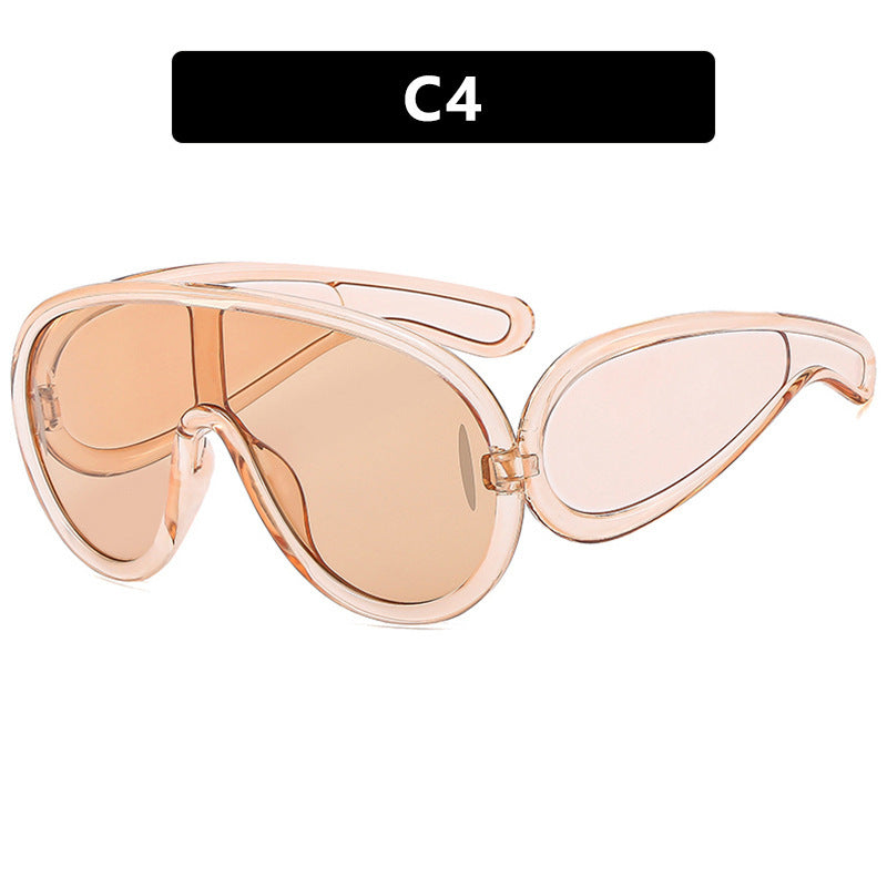 Women's fashionable sunglasses with removable lenses Stornfield