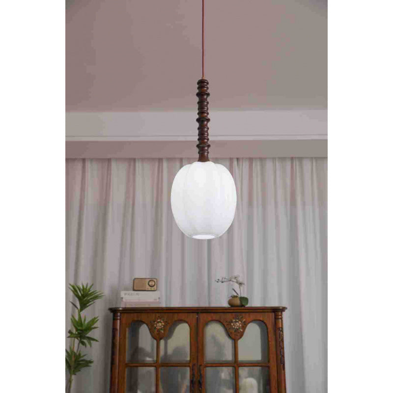 Modern Elegant Hanging Pendant Light