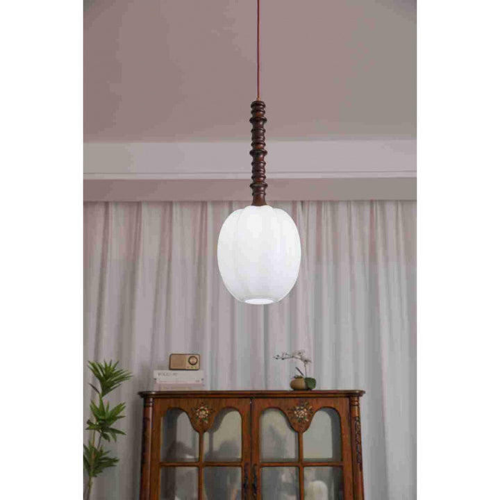 Modern Elegant Hanging Pendant Light