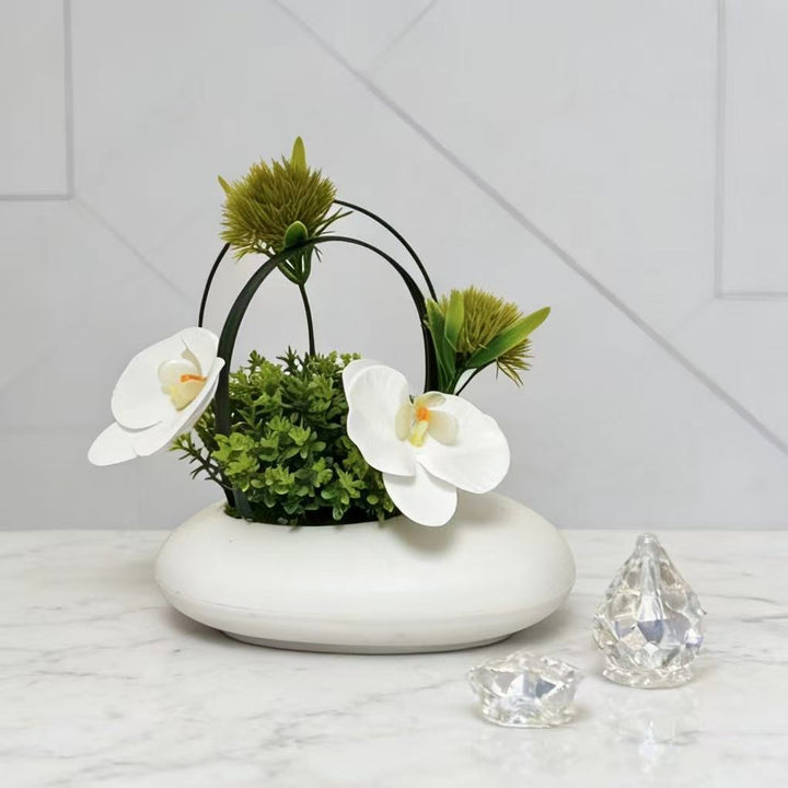 Home Decor Decorative Accent for Indoor Display and Styling