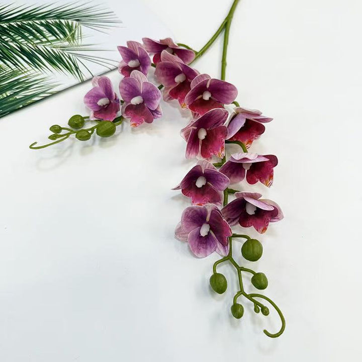 Realistic Orchid Flower Stem