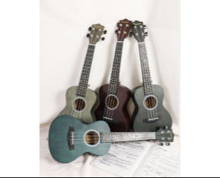 Beginner-Friendly Soprano Ukulele Stornfield