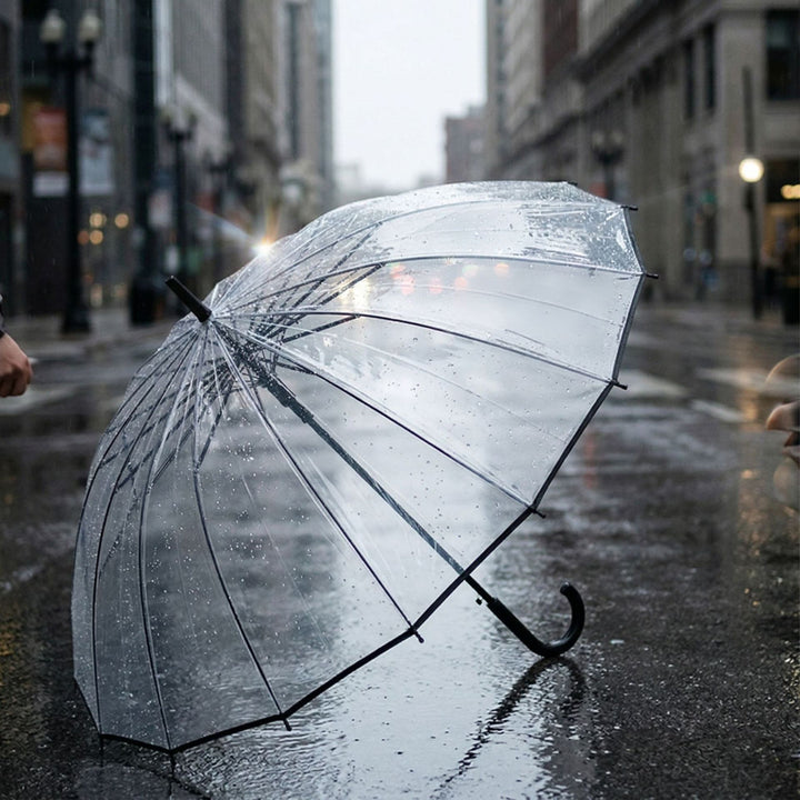 Women's Transparent Umbrella Stornfield