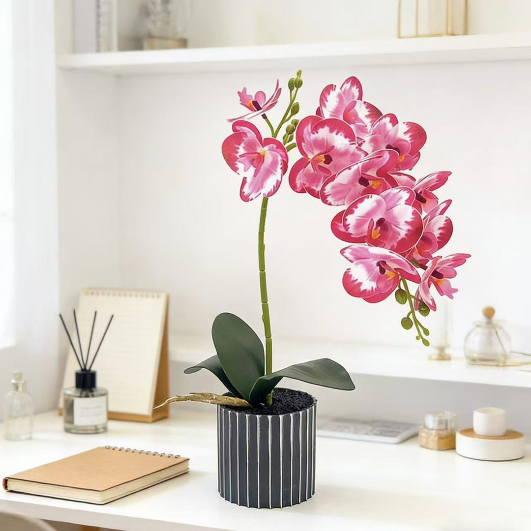 Realistic Faux Orchid Arrangement  1790480718