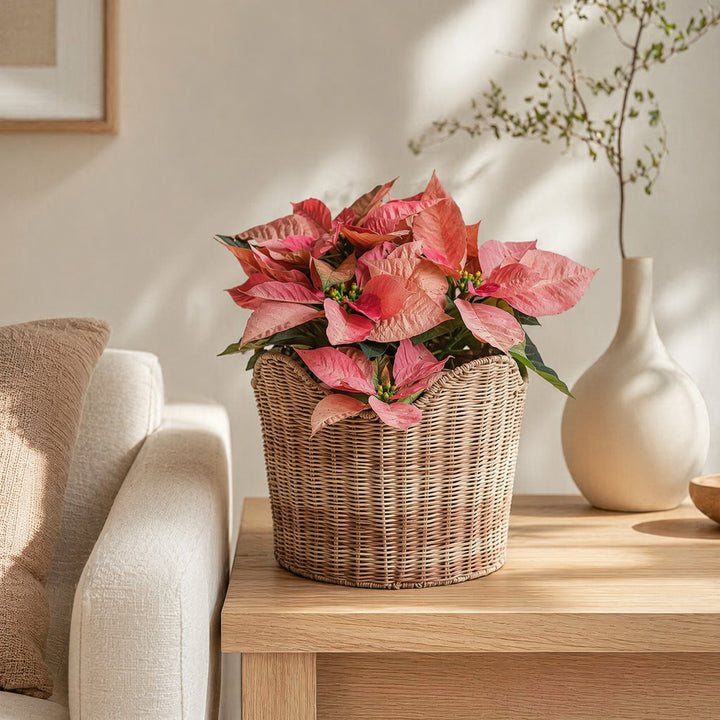 Handmade storage basket in contemporary design Stornfield