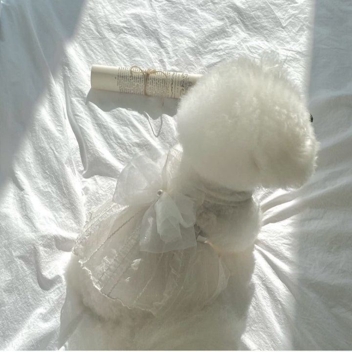 Pet Tulle Lace Dress with Organza  and Pearl Charm
