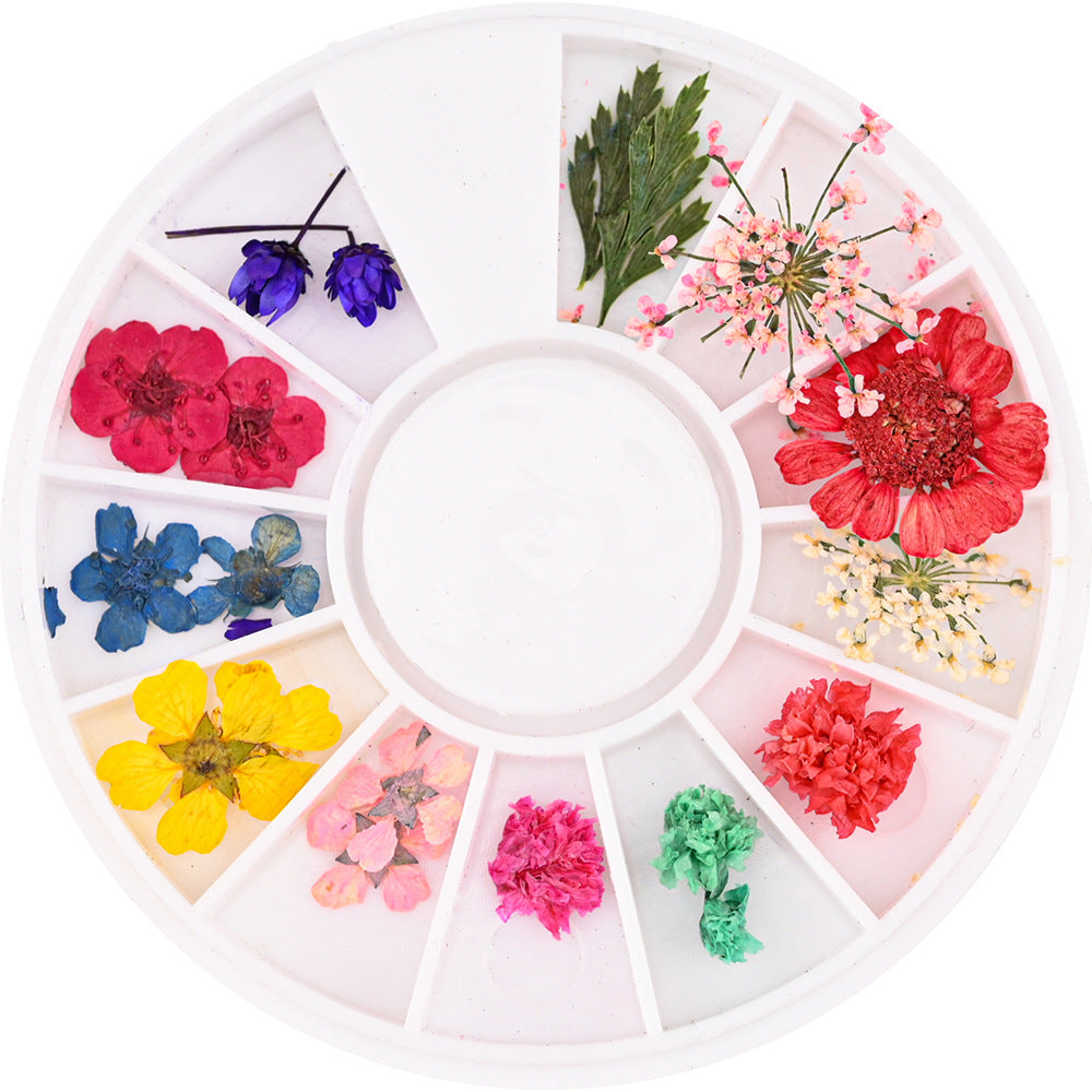 Decorative Rose Flower