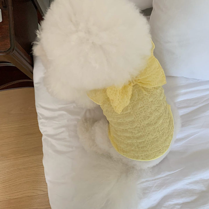 Lace Ruched Pet Dress with Decorative Back
