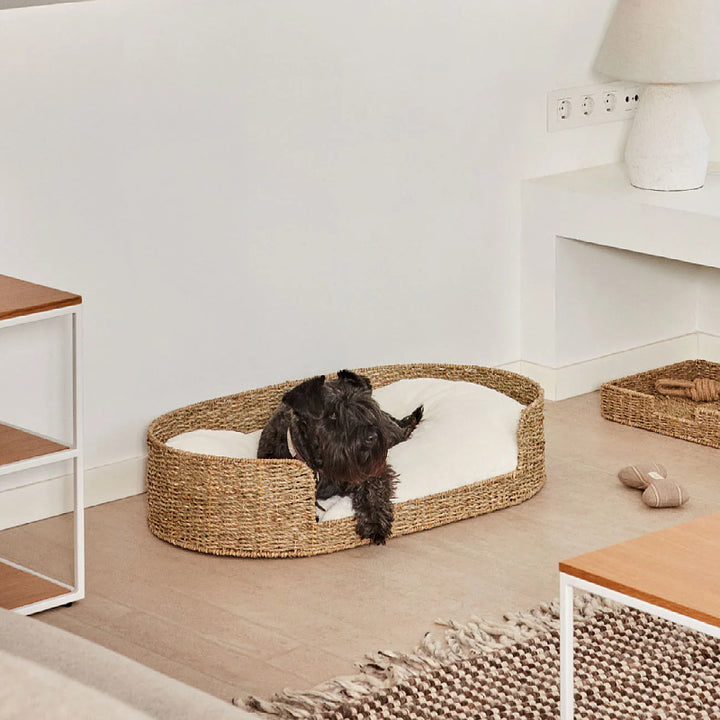 Cozy and stylish dog bed made of braided material Stornfield