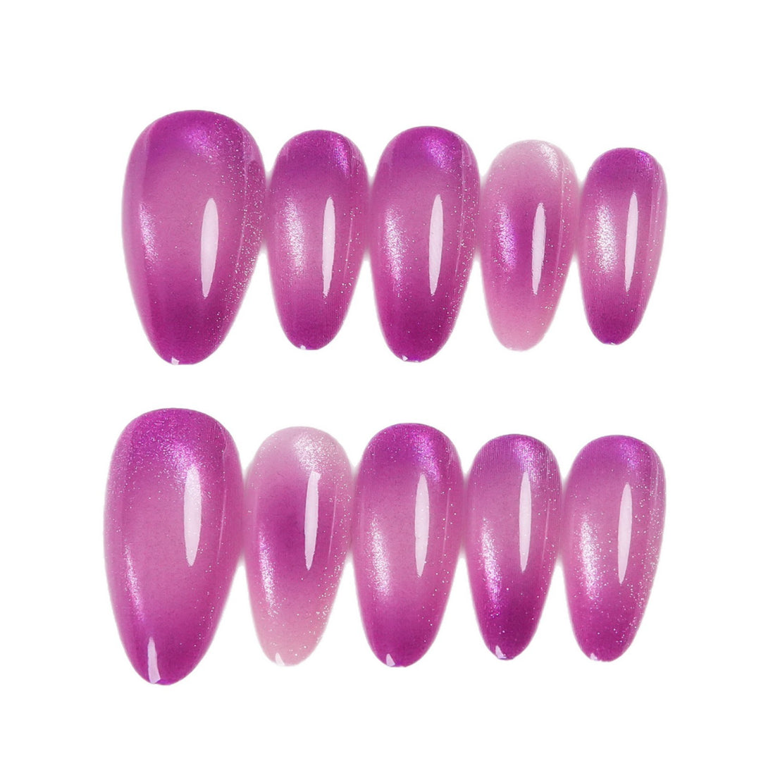 Stiletto Shaped Press-On Nail Set with Ombre Finish