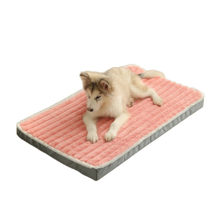 Dog lying surface Stornfield